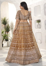 Load image into Gallery viewer, Brown Net Circular Lehenga Choli