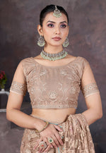 Load image into Gallery viewer, Peach Net Saree With Blouse