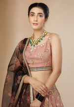 Load image into Gallery viewer, Pink Georgette Lehenga Choli