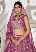 Load image into Gallery viewer, Pink Tissue Circular Lehenga Choli
