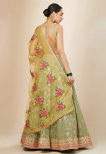 Load image into Gallery viewer, Pista Green Georgette Circular Lehenga Choli