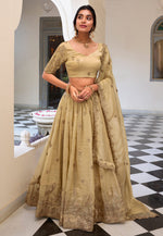 Load image into Gallery viewer, Beige Art Silk Lehenga Choli
