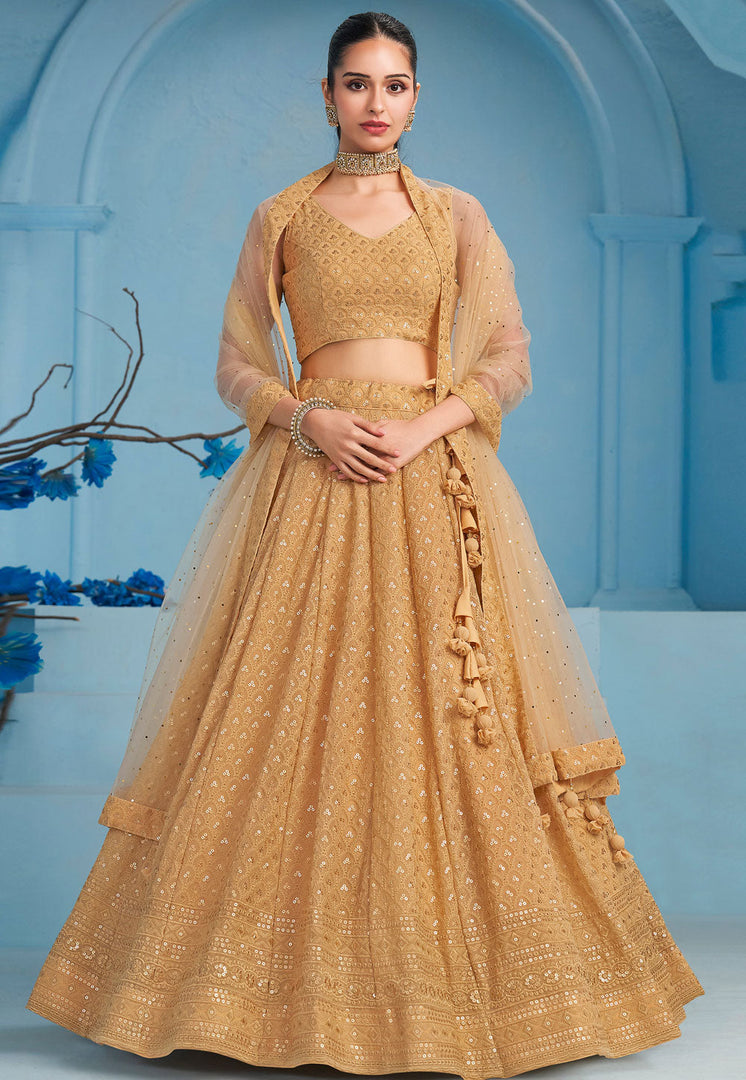 Beige Georgette Circular Lehenga Choli