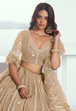 Load image into Gallery viewer, Beige Net Circular Lehenga Choli
