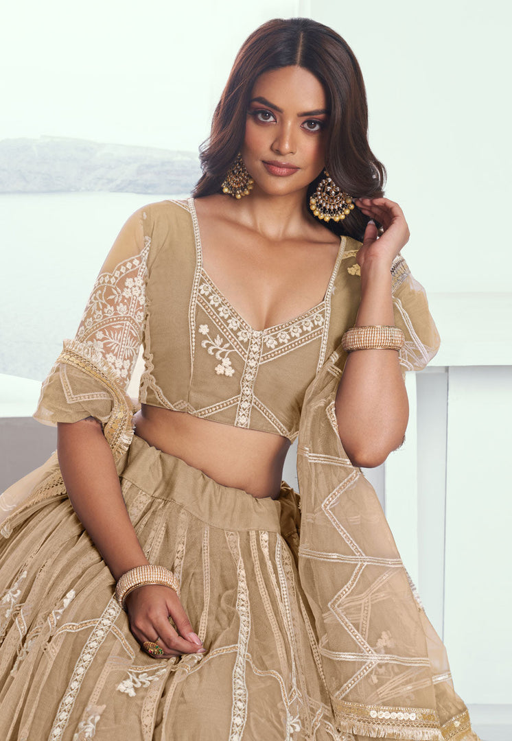 Beige Net Circular Lehenga Choli