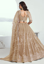 Load image into Gallery viewer, Beige Net Circular Lehenga Choli
