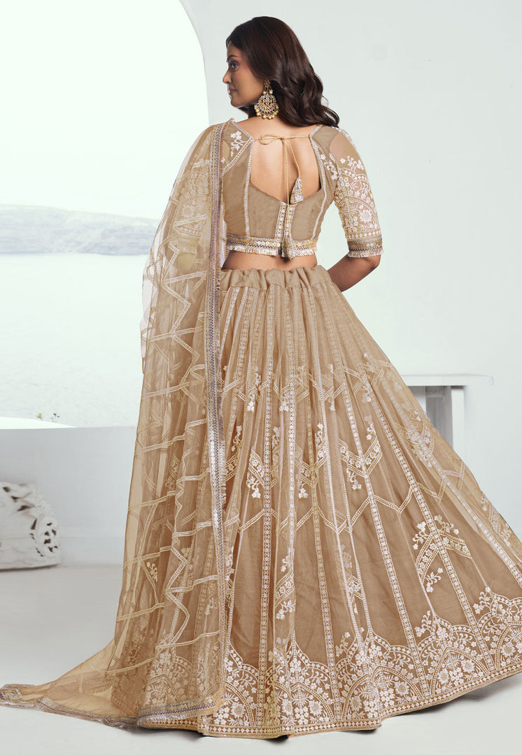Beige Net Circular Lehenga Choli