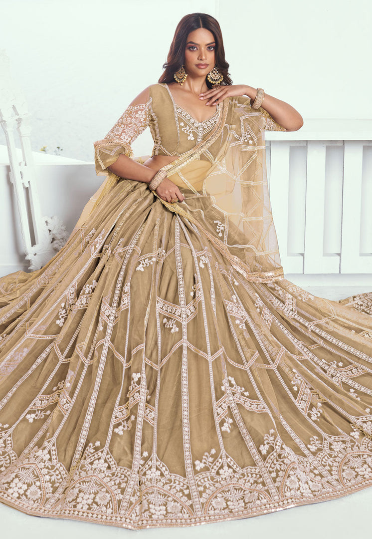 Beige Net Circular Lehenga Choli