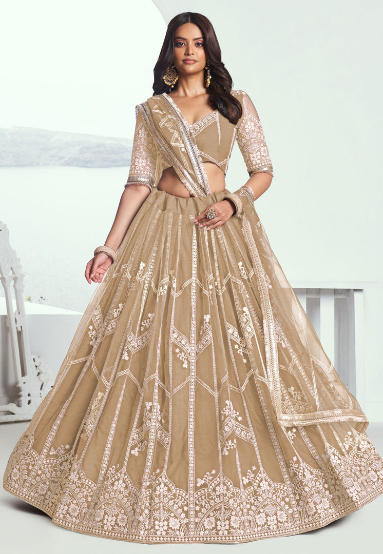 Beige Net Circular Lehenga Choli