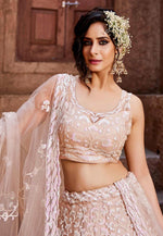 Load image into Gallery viewer, Beige Net Lehenga Choli For Wedding
