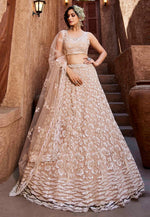 Load image into Gallery viewer, Beige Net Lehenga Choli For Wedding
