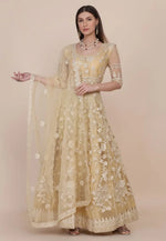 Load image into Gallery viewer, Beige Net Long Anarkali Suit
