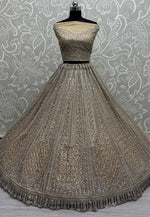 Load image into Gallery viewer, Beige Net Wedding Lehenga Choli
