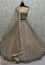 Load image into Gallery viewer, Beige Net Wedding Lehenga Choli
