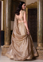 Load image into Gallery viewer, Beige Organza Circular Lehenga Choli
