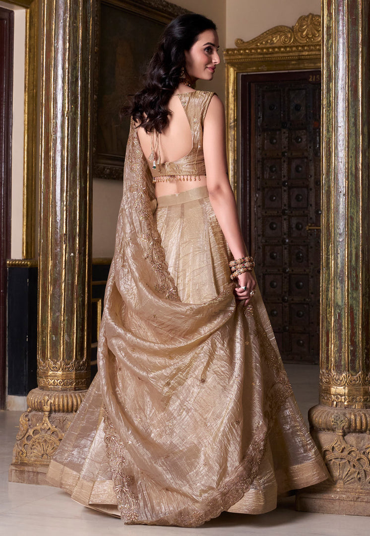 Beige Organza Circular Lehenga Choli