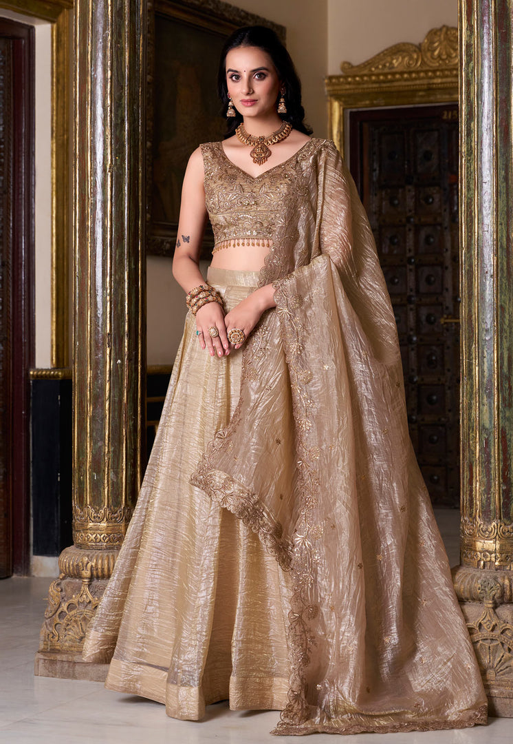 Beige Organza Circular Lehenga Choli