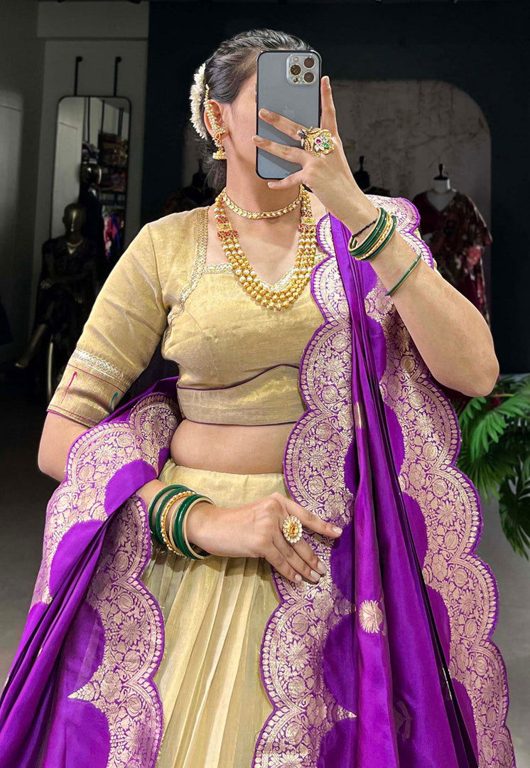 Beige Organza Circular Lehenga Choli