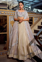 Load image into Gallery viewer, Beige Silk Circular Lehenga Choli
