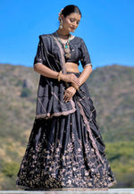 Load image into Gallery viewer, Black Chinon Circular Lehenga Choli
