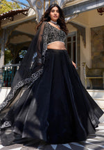Load image into Gallery viewer, Black Silk Circular Lehenga Choli
