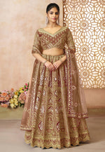 Load image into Gallery viewer, Brown Banarasi Silk Lehenga Choli

