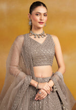 Load image into Gallery viewer, Brown Georgette Circular Lehenga Choli
