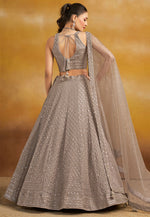 Load image into Gallery viewer, Brown Georgette Circular Lehenga Choli
