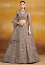 Load image into Gallery viewer, Brown Georgette Circular Lehenga Choli
