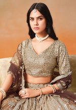 Load image into Gallery viewer, Brown Georgette Circular Lehenga Choli
