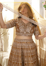 Load image into Gallery viewer, Brown Net Circular Lehenga Choli
