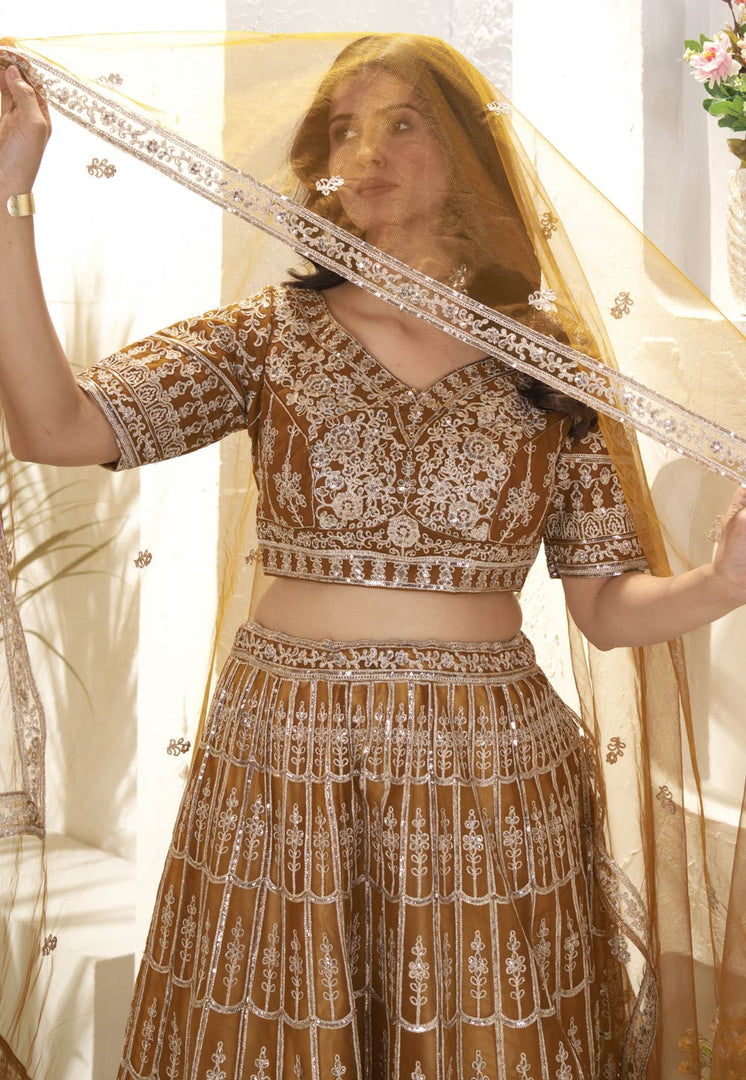 Brown Net Circular Lehenga Choli