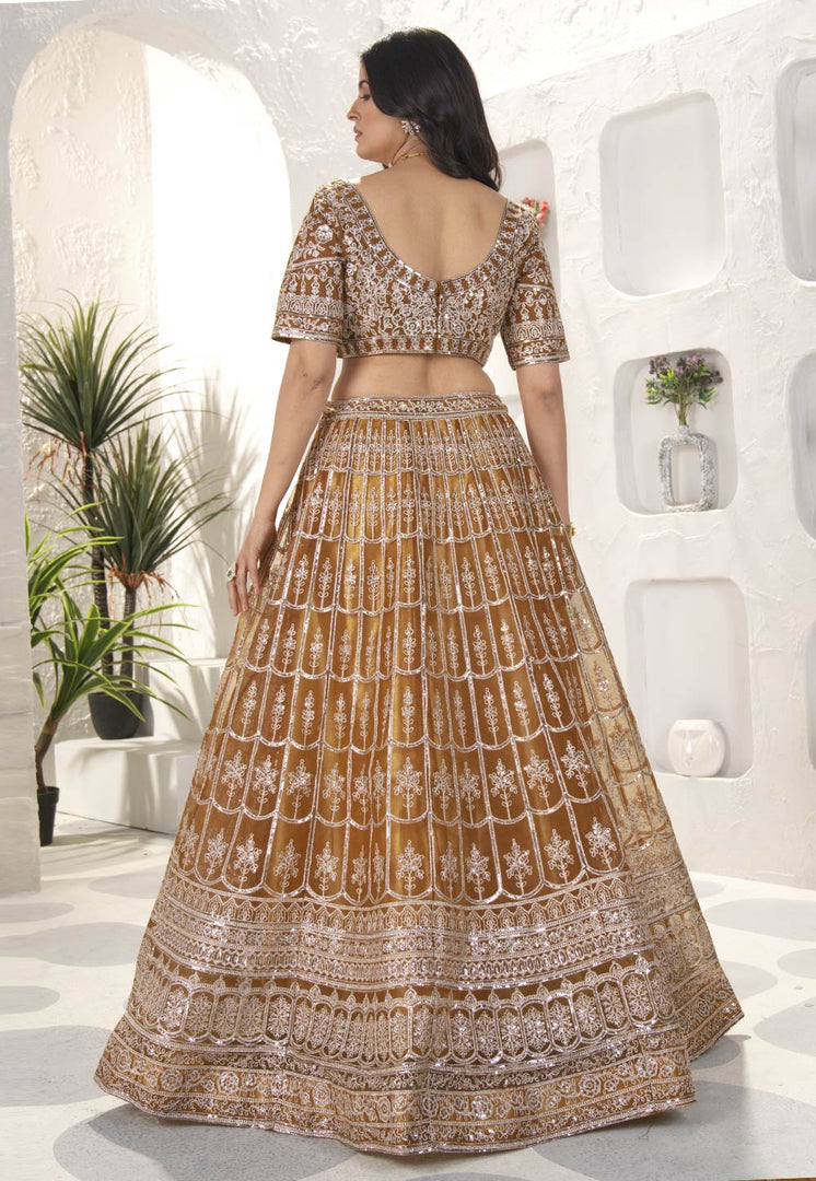 Brown Net Circular Lehenga Choli