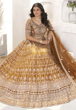 Load image into Gallery viewer, Brown Net Circular Lehenga Choli
