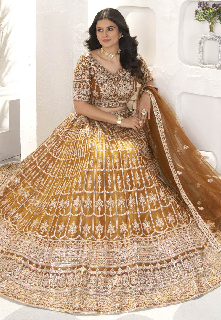 Brown Net Circular Lehenga Choli