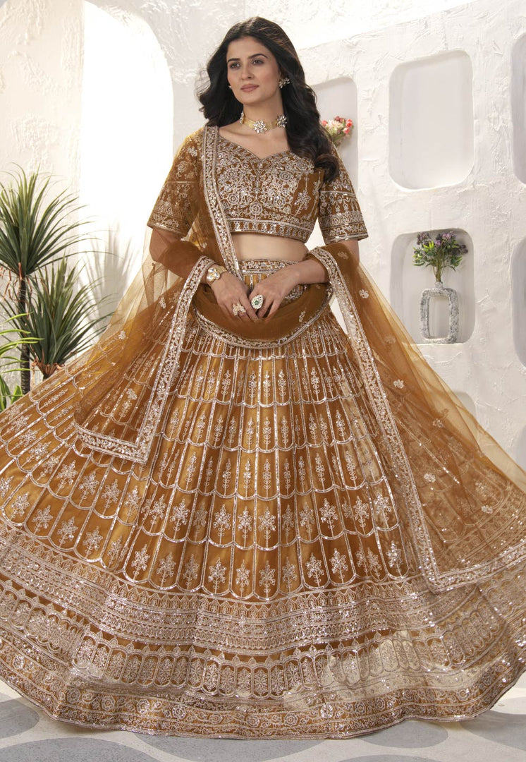 Brown Net Circular Lehenga Choli