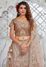 Load image into Gallery viewer, Brown Net Lehenga Choli
