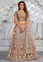 Load image into Gallery viewer, Brown Net Lehenga Choli
