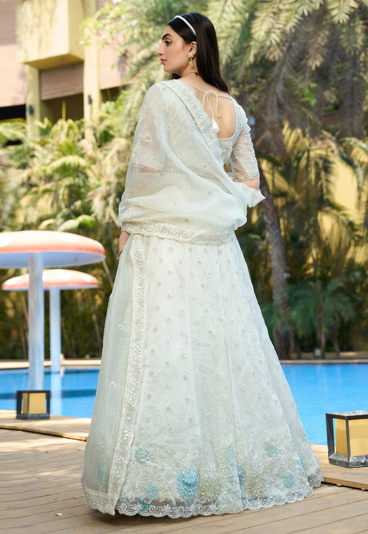 Cream Organza A Line Lehenga Choli