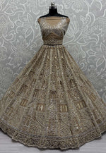 Load image into Gallery viewer, Golden Net Wedding Lehenga Choli
