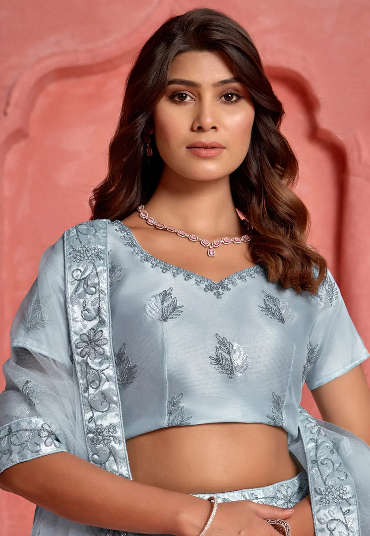 Grey Net Lehenga Choli