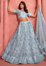 Load image into Gallery viewer, Grey Net Lehenga Choli
