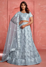 Load image into Gallery viewer, Grey Net Lehenga Choli
