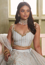 Load image into Gallery viewer, Grey Net Lehenga Choli
