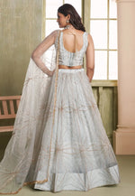 Load image into Gallery viewer, Grey Net Lehenga Choli
