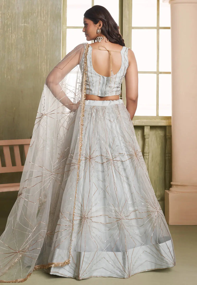 Grey Net Lehenga Choli