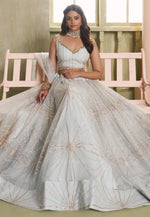 Load image into Gallery viewer, Grey Net Lehenga Choli
