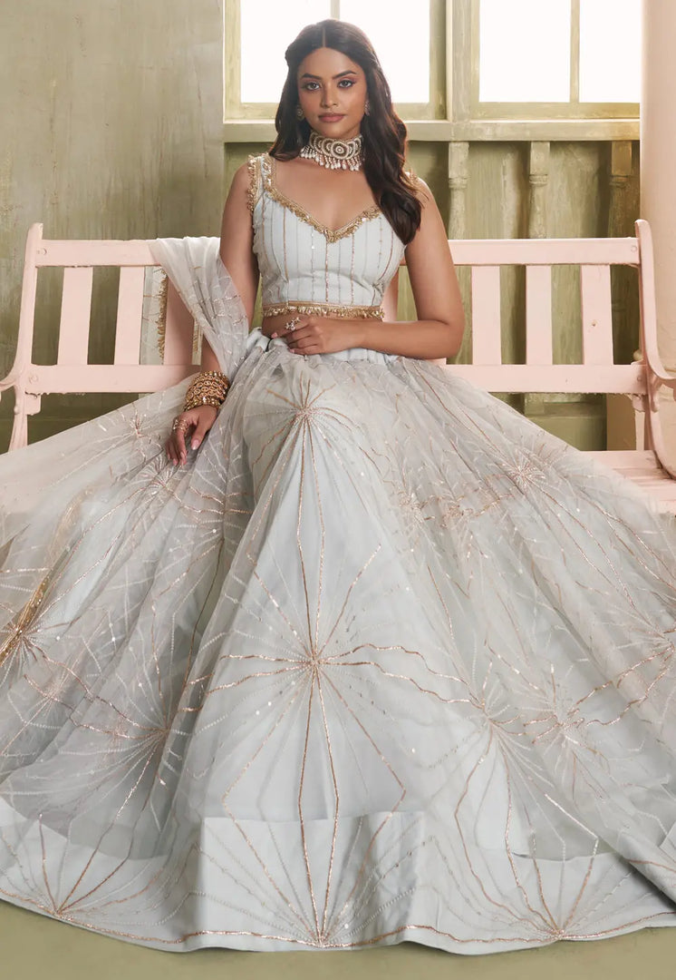Grey Net Lehenga Choli