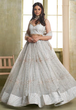 Load image into Gallery viewer, Grey Net Lehenga Choli
