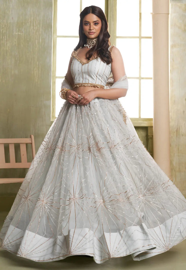 Grey Net Lehenga Choli
